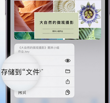 夹江apple维修中心分享iPhone文件应用中存储和找到下载文件