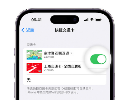 夹江apple维修点分享iPhone上更换Apple Pay快捷交通卡手绘卡面 