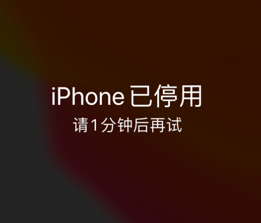 夹江苹果手机维修分享:iPhone 显示“不可用”或“已停用”怎么办？还能保留数据吗？ 