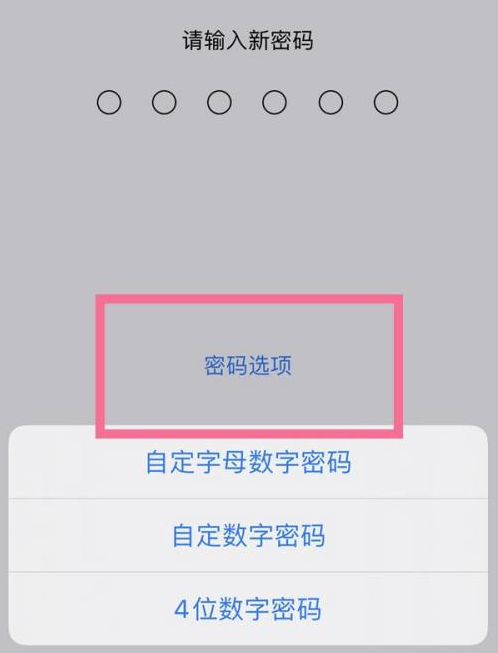 夹江苹果14维修分享iPhone 14plus设置密码的方法 