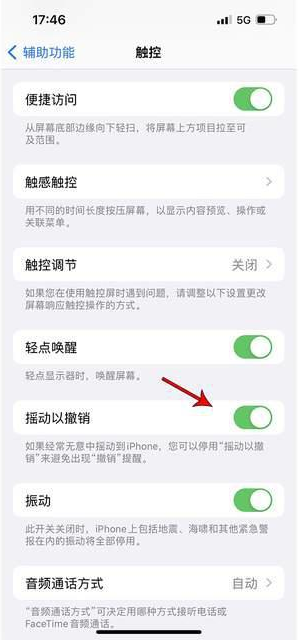 夹江苹果手机维修分享iPhone手机如何设置摇一摇删除文字 