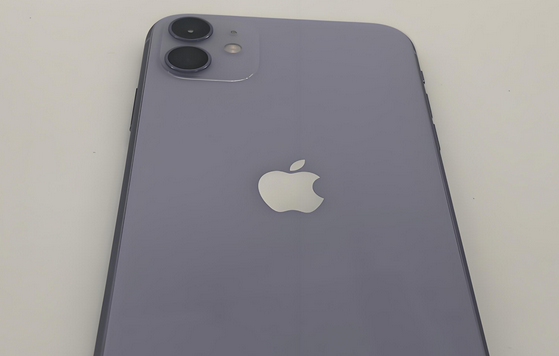 夹江苹果11系统维修分享iPhone11手机系统崩溃无法开机如何解决 